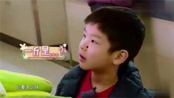 娱乐吃瓜小飞哥是谁,网络红人的崛起之路