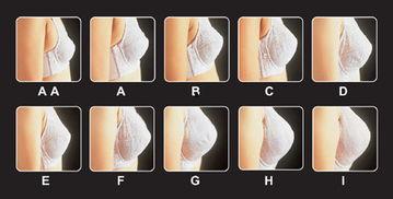 女人c罩杯图片,曲线之美，尽显女性魅力