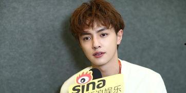 新浪娱乐官鸿